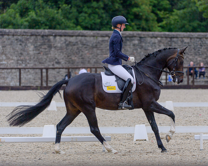 20220710_DressageIreland_0032_CR.jpg
