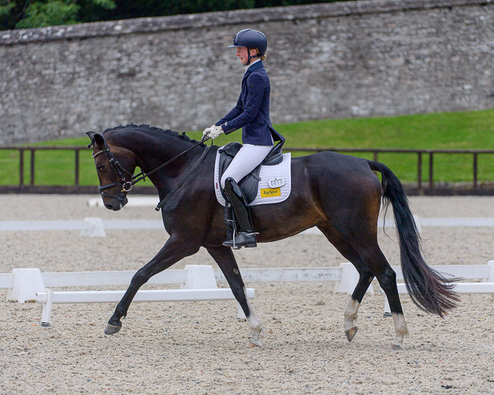 20220710_DressageIreland_0045_CR.jpg