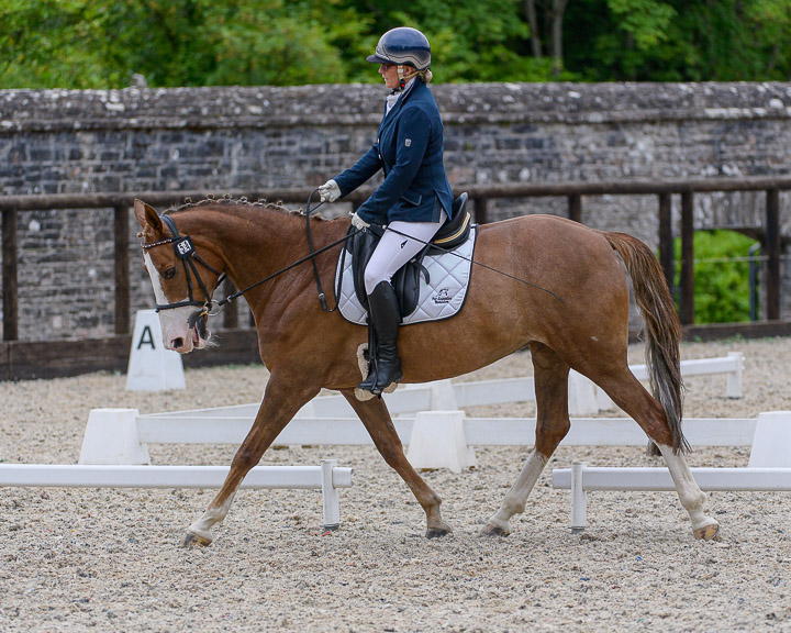 20220710_DressageIreland_0070_CR.jpg
