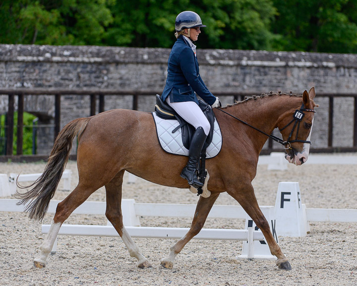 20220710_DressageIreland_0081_CR.jpg
