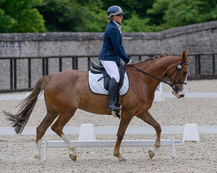 20220710_DressageIreland_0083_CR.jpg