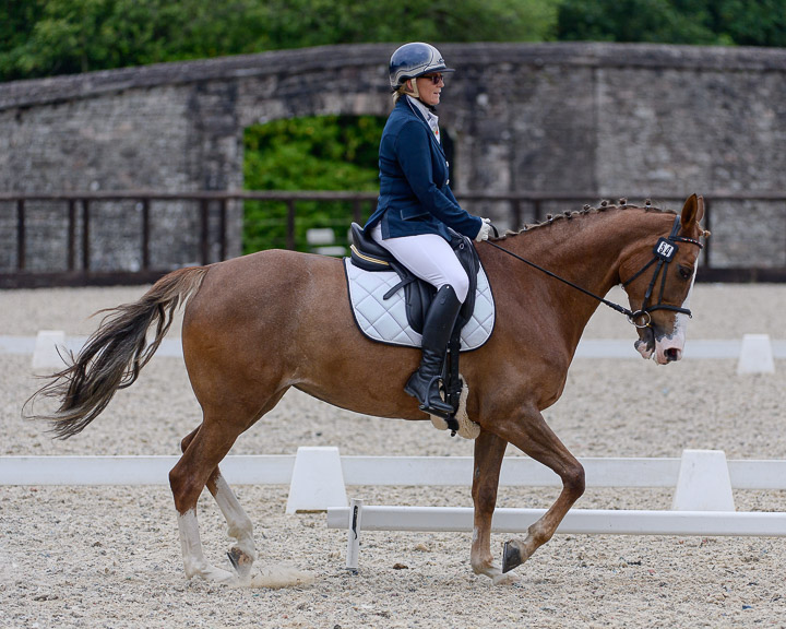 20220710_DressageIreland_0086_CR.jpg