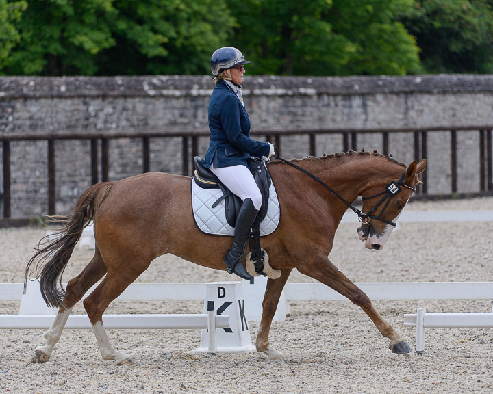 20220710_DressageIreland_0087_CR.jpg