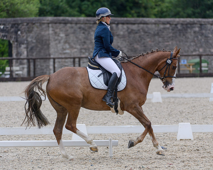 20220710_DressageIreland_0093_CR.jpg