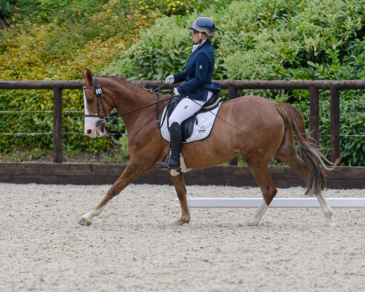 20220710_DressageIreland_0105_CR.jpg