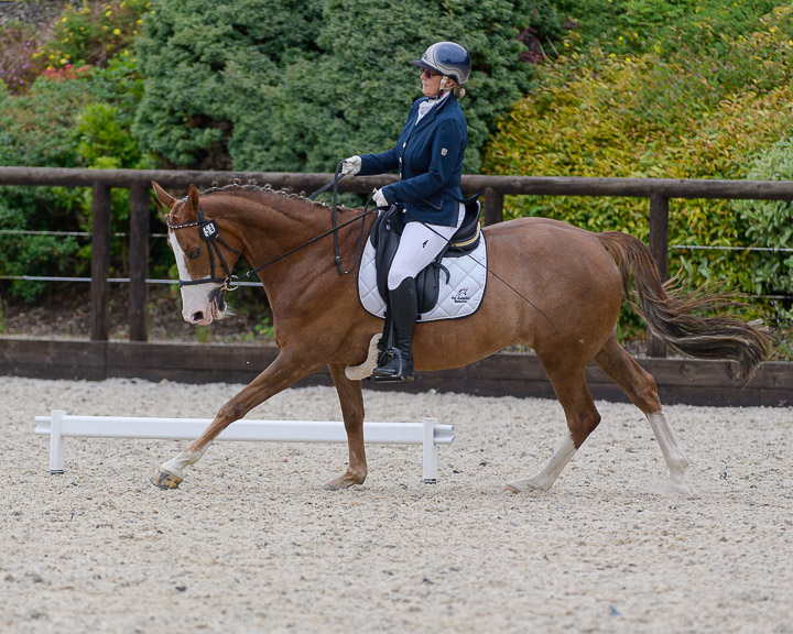20220710_DressageIreland_0107_CR.jpg