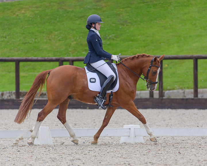 20220710_DressageIreland_0122_CR.jpg