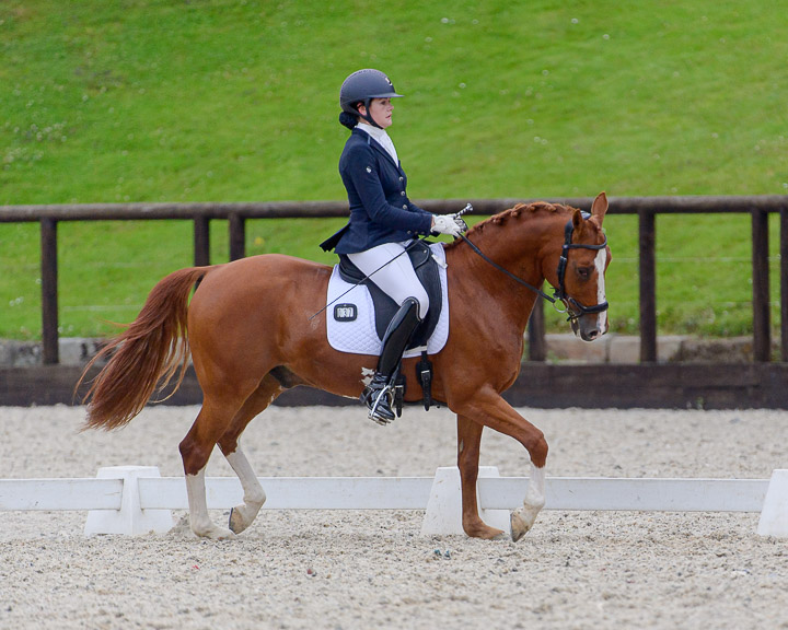 20220710_DressageIreland_0124_CR.jpg