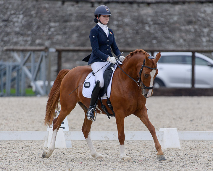20220710_DressageIreland_0131_CR.jpg