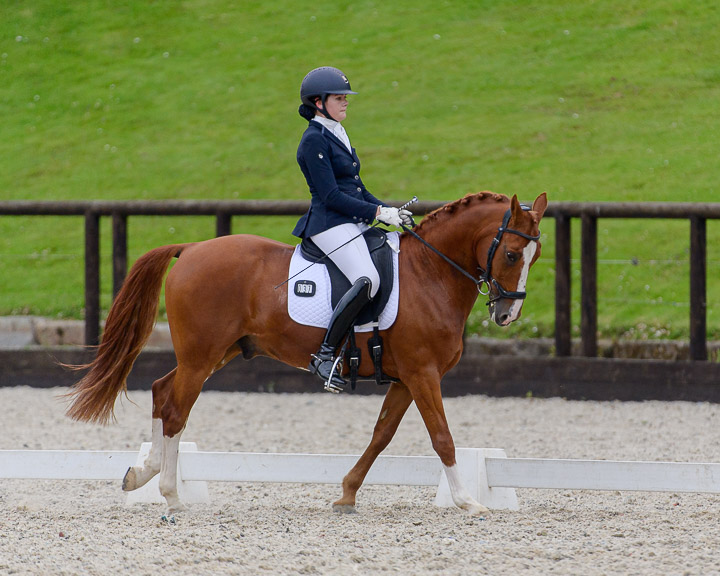 20220710_DressageIreland_0133_CR.jpg