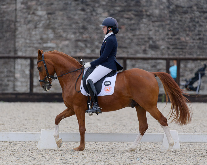 20220710_DressageIreland_0138_CR.jpg