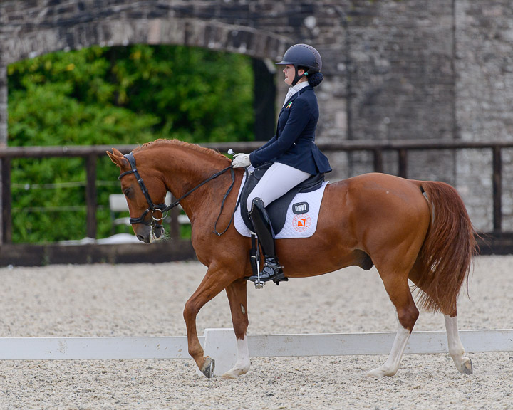20220710_DressageIreland_0141_CR.jpg