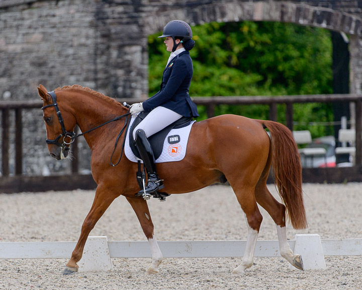 20220710_DressageIreland_0142_CR.jpg