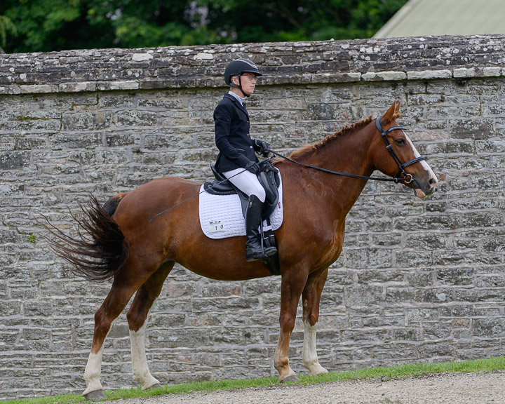 20220710_DressageIreland_0143_CR.jpg