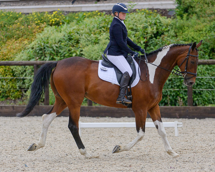 20220710_DressageIreland_0149_CR.jpg