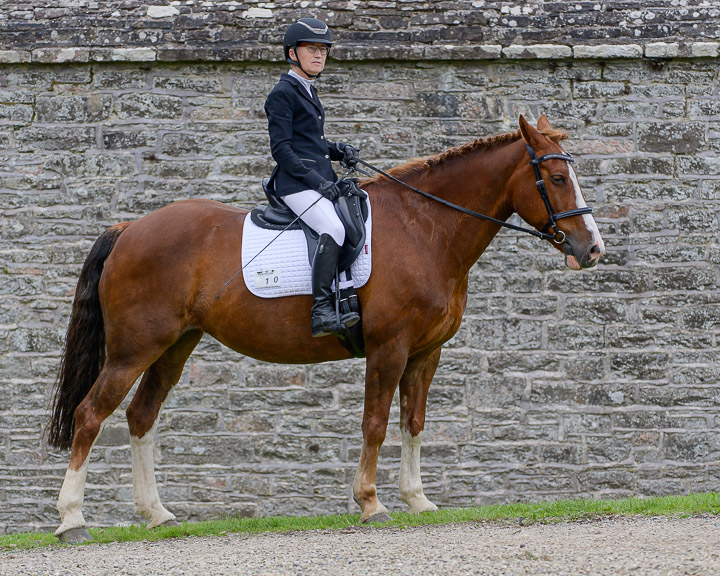 20220710_DressageIreland_0151_CR.jpg
