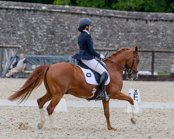 20220710_DressageIreland_0152_CR.jpg