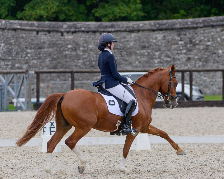 20220710_DressageIreland_0153_CR.jpg