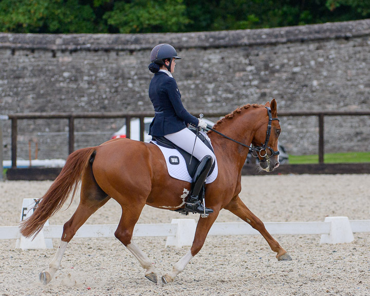 20220710_DressageIreland_0154_CR.jpg