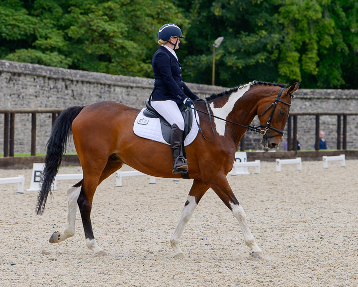 20220710_DressageIreland_0157_JR.jpg