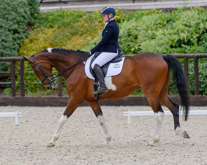 20220710_DressageIreland_0158_CR.jpg