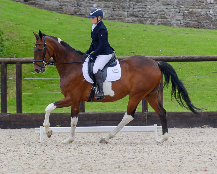 20220710_DressageIreland_0185_CR.jpg