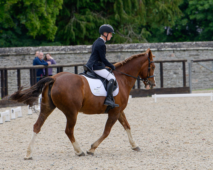 20220710_DressageIreland_0209_JR.jpg