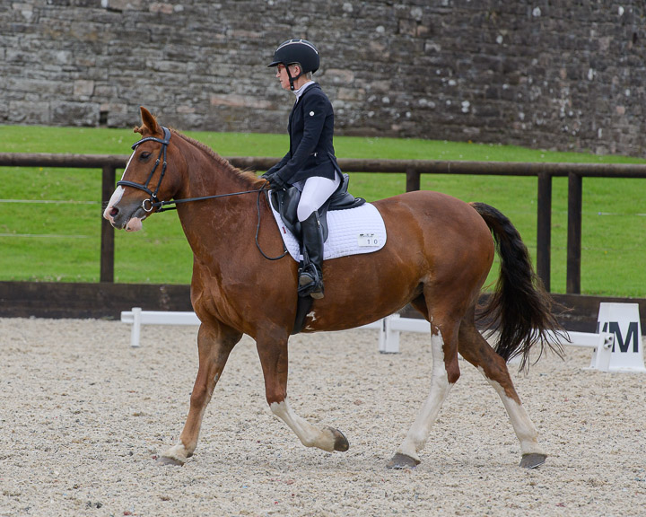 20220710_DressageIreland_0210_CR.jpg