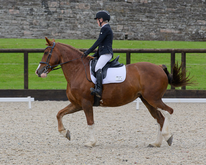 20220710_DressageIreland_0213_CR.jpg