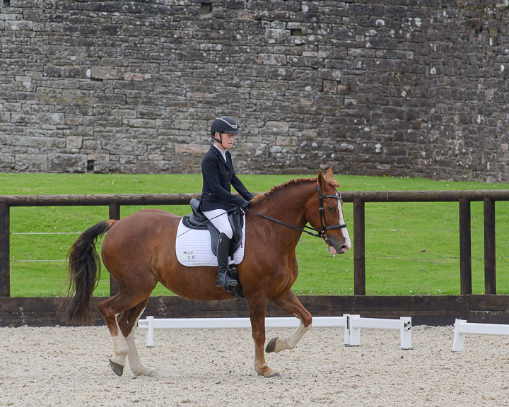 20220710_DressageIreland_0217_CR.jpg