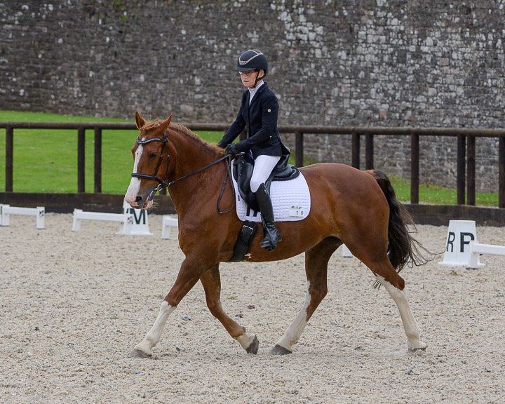 20220710_DressageIreland_0223_CR.jpg
