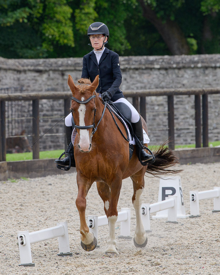 20220710_DressageIreland_0225_JR.jpg