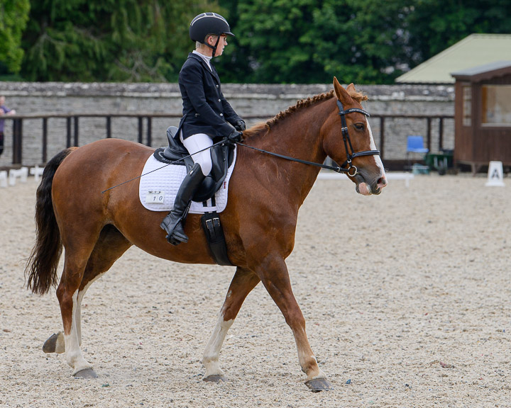 20220710_DressageIreland_0227_JR.jpg