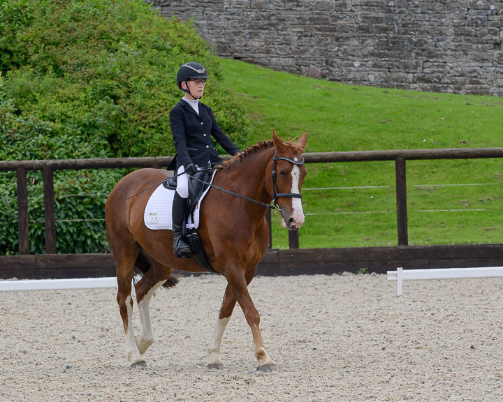 20220710_DressageIreland_0232_CR.jpg