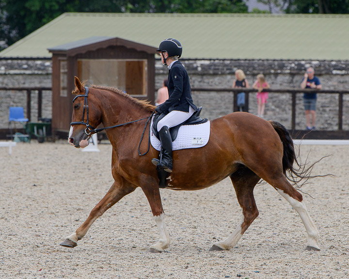 20220710_DressageIreland_0243_JR.jpg