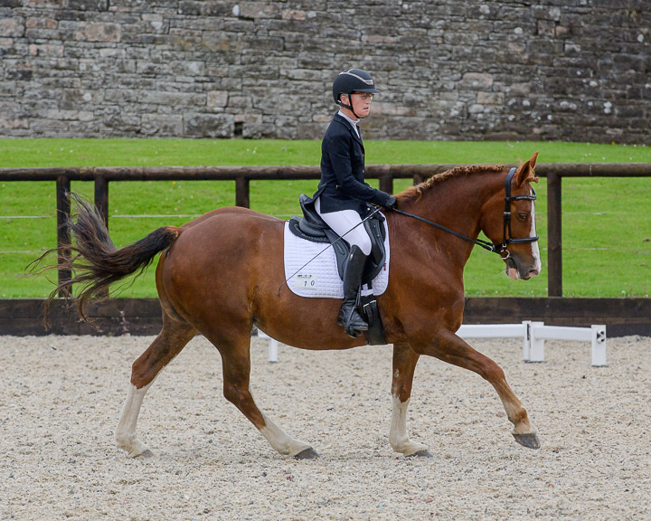 20220710_DressageIreland_0245_CR.jpg