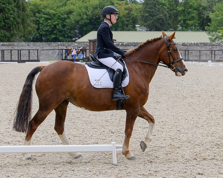 20220710_DressageIreland_0251_JR.jpg