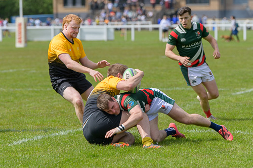 20220514-Hamilton-Bulls-RFC-Sevens-0275-JR.jpg